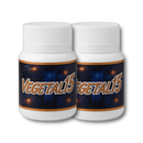 Vegetal 15 - Suplemento Natural - Promoção Exclusiva + Frete Grátis